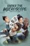 Drama China Under the Microscope 2023
