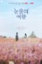 Drama Korea Queen of Tears Special Subtitle Indonesia 2024