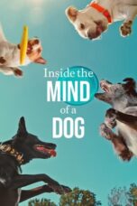 Inside the Mind of a Dog (2024) Sub Indo Inside the Mind of a Dog (2024) Sub Indo