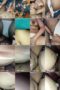 Hijab Polos Takut Hamil