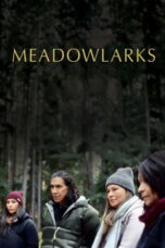 Meadowlarks (2025)