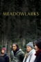 Meadowlarks (2025) Meadowlarks (2025)