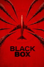 Black Box (Flight 298) (2026)