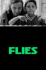 Flies (2026)