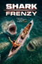 Shark Frenzy (2026) Shark Frenzy (2026)